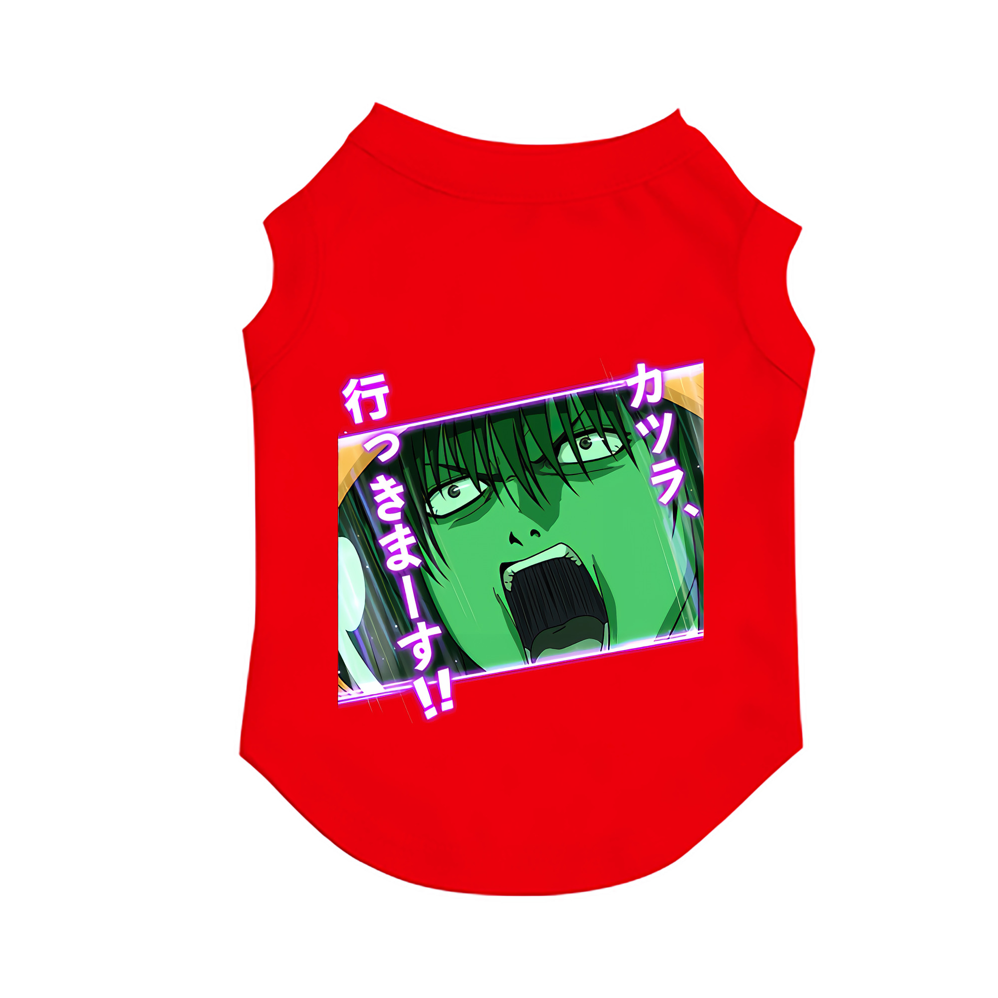 （画像用） ぎんたま 坂田銀時（さかたぎんとき） 神楽 志村新八（しむら しんぱち） GINTAMA Sakata Gintoki Kagura Shimura Shinpachi ペット用ベスト