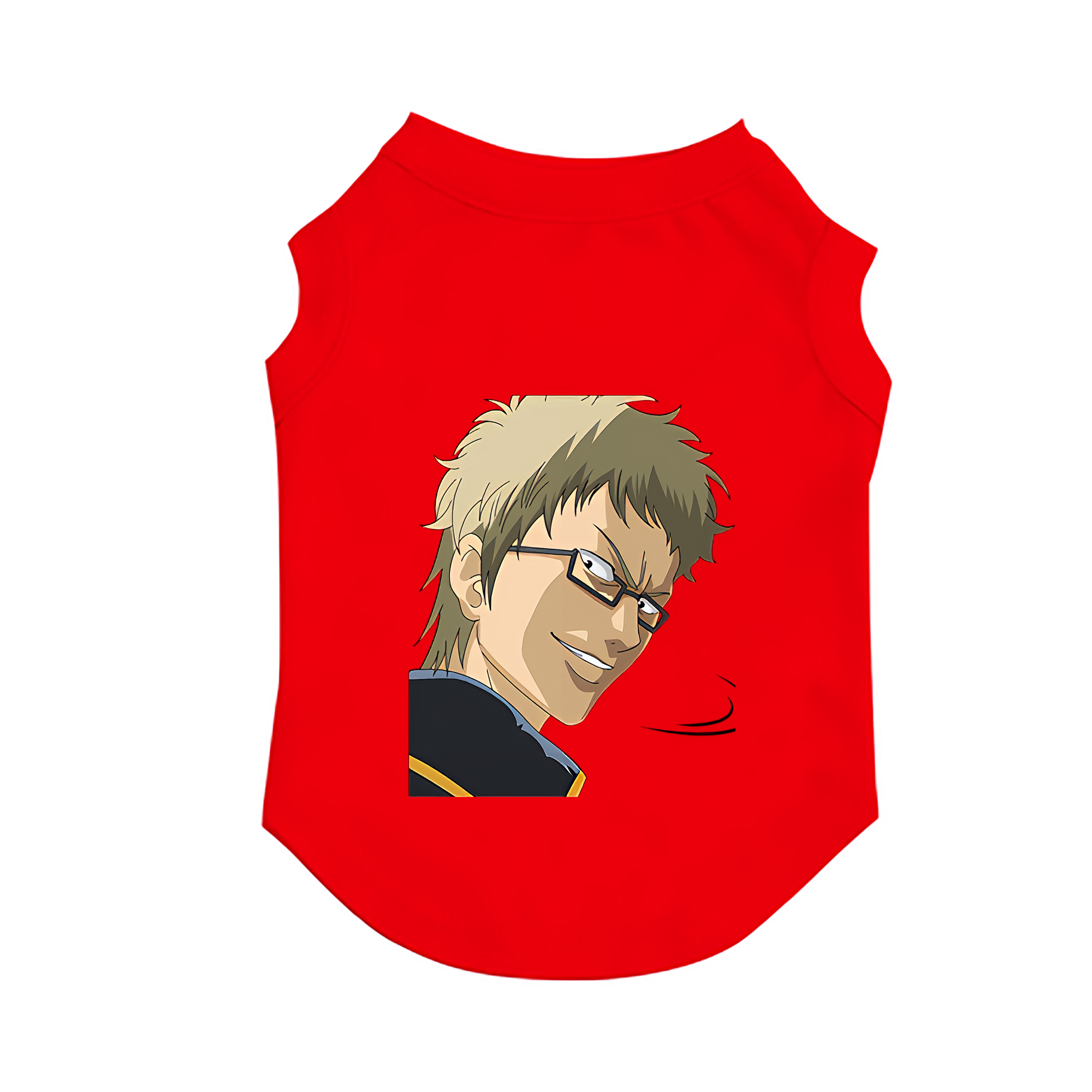 （画像用） ぎんたま 坂田銀時（さかたぎんとき） 神楽 志村新八（しむら しんぱち） GINTAMA Sakata Gintoki Kagura Shimura Shinpachi ペット用ベスト