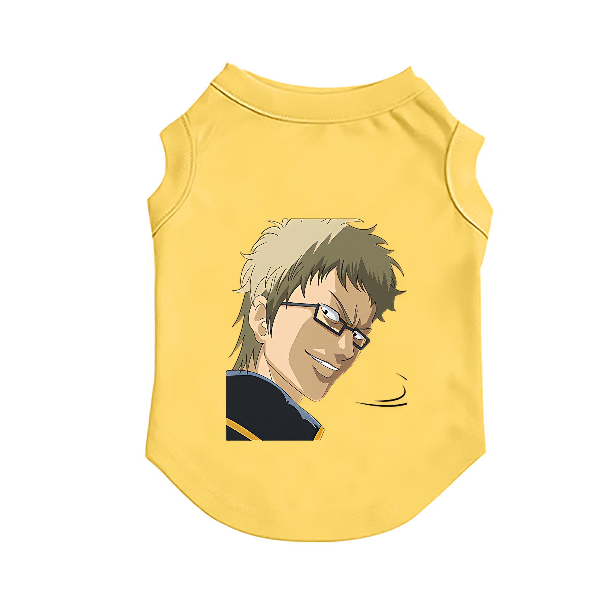 （画像用） ぎんたま 坂田銀時（さかたぎんとき） 神楽 志村新八（しむら しんぱち） GINTAMA Sakata Gintoki Kagura Shimura Shinpachi ペット用ベスト