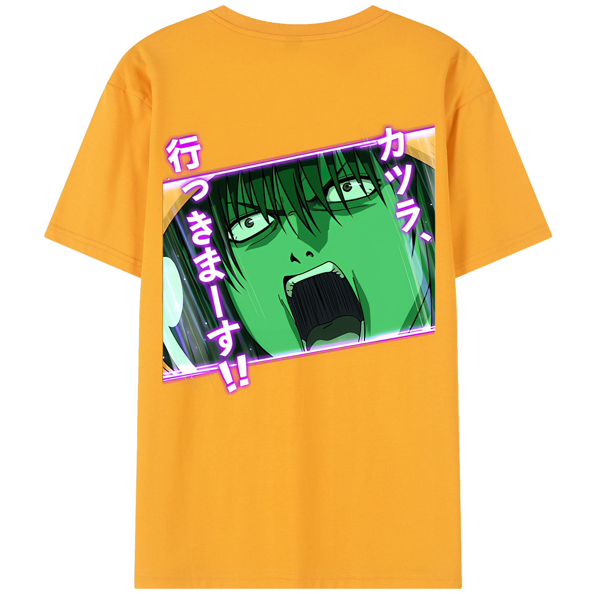 （画像用） ぎんたま 坂田銀時（さかたぎんとき） 神楽 志村新八（しむら しんぱち） GINTAMA Sakata Gintoki Kagura Shimura Shinpachi 綿100％半袖Tシャツ（背面プリント）